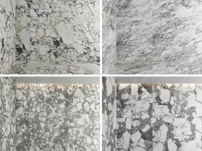 Marble Porcelain tiles set 45 Texture