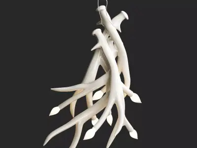Superordinate Antlers chandelier 4 antlers white von Roll Hill 3D model