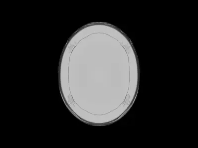 Monkey in Egg Model -3d STL Print Model 3D print model