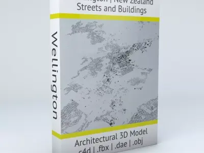Wellington Streets and Buildings 3D model