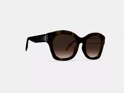 Gael Sunglasses in Cognac Tortoise 3D model