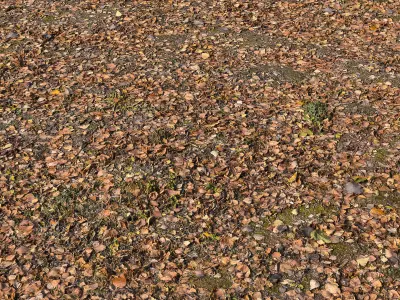 Autumn leaves 3D model