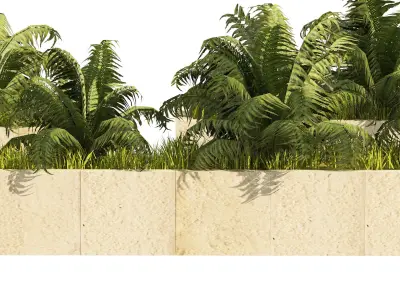 3 Street swordfern border plant Low-poly 3D model