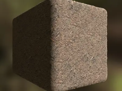 Pine Dirt Seamless Material Texture