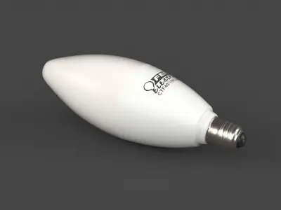 Light Bulb 3D model