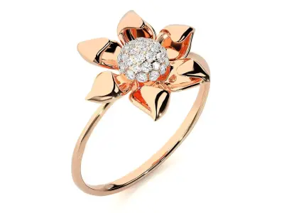 Ring - 12 3D print model