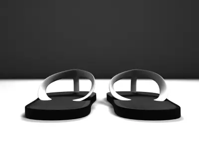 Flip-Flops flip flops 3D model