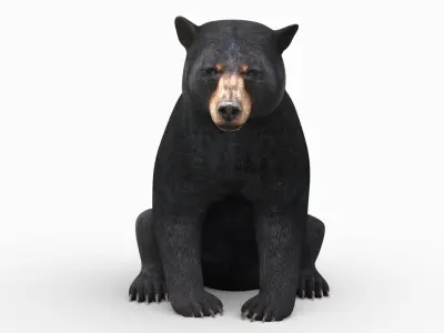  Rigged and Animated Black Bear and Red Wolf Forest Predators 3D Bundle 