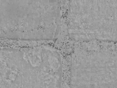 Red brick pavement texture 04 Texture