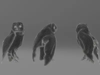 Photorealistic Barn Owl Low-poly 3D model