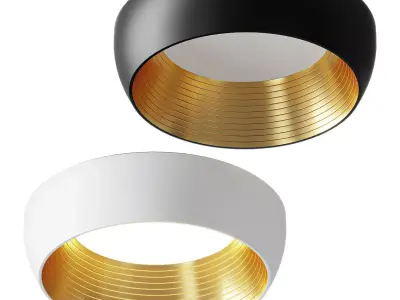 AFX Duncan Ceiling Light 3D model