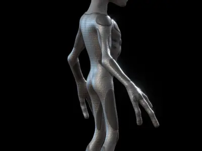 The Grey - omsx 3D model
