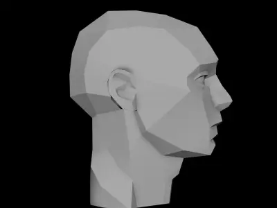 Planes of the Head - Male Asaro model 3D model