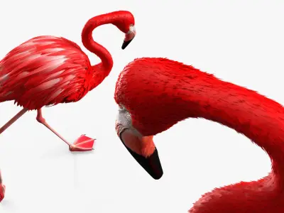  Red Flamingo Tropical Walking Pose 