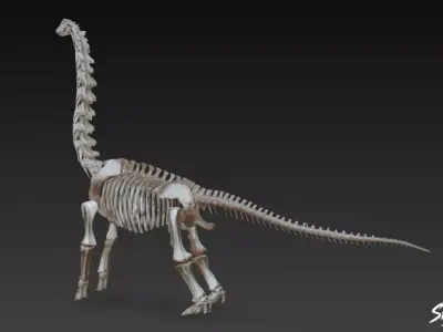 Brachiosaurus fossil   Low-poly 3D model