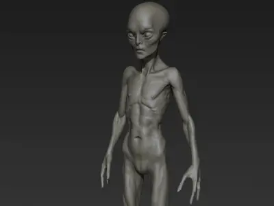 Alien Humanoid 3D model