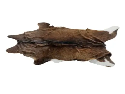 Animal skin rug 15 3D model
