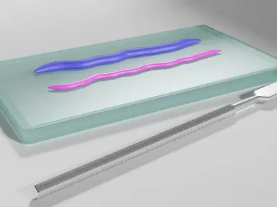 Dental Impression Material and glass plate 3D model