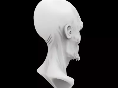 Ancient Alien Bust 3D Print Model 3D print model