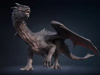  Dragon Adult Rigged 