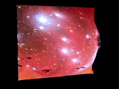 Running Chicken Nebula 3D model