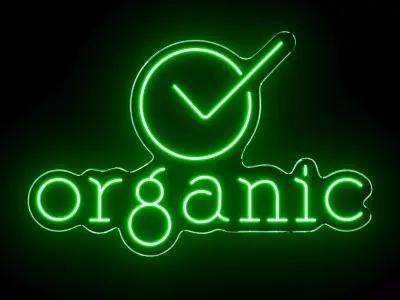 Organic Neon Sign 3D model