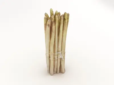 Asparagus Bunch White 3D model