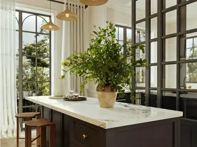 French-style open kitchen 3D model