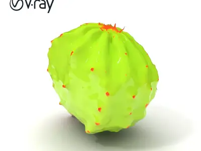 Cactus Model Pack with Detailed Spines and Textures Low-poly 3D model