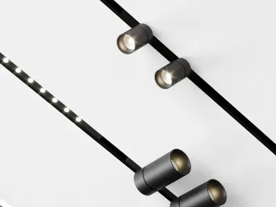 Reggiani Set 4 3D model