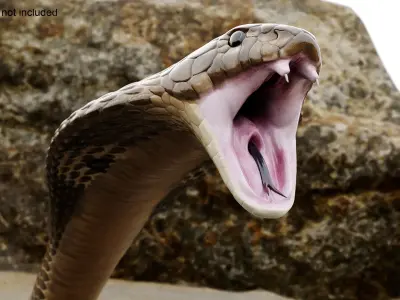  Attack Naja Cobra Animated Rigged for Maya 