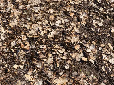 Ultra realistic Ground autumn  3D model