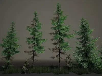 Tree Pine Asset Low-poly 3D model