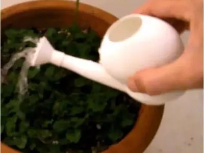 BALCONY SPRINKLER 3D print model