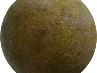 Mossy Meadow Soil Texture