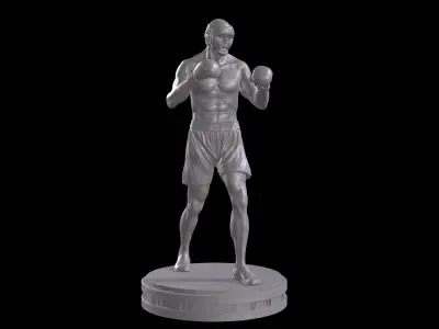 KickBoxer for 3D Print 3D print model