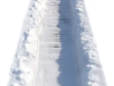 Ultra realistic Winter footpath 2 2021Hq Scan  Low-poly 3D model