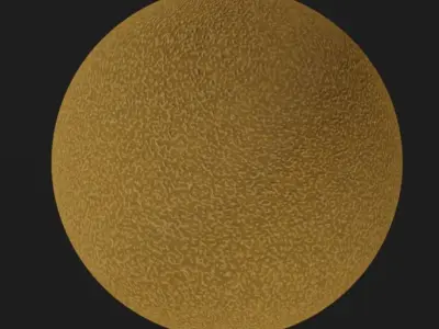 Selected Kiwi materials for tutorial Free 3D model