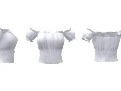 Off Shoulder Pheasant Top Low-poly 3D model