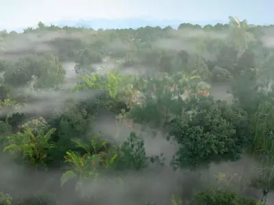 tropical rainforest 3D model