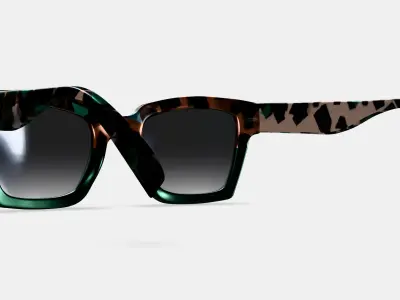 Sonia Sunglasses in Aventurine Tortoise Fade 3D model