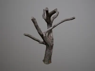 Topped Tree Low-poly 3D model