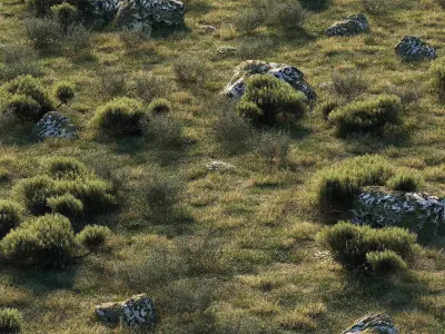 Forest Landscape 3D model