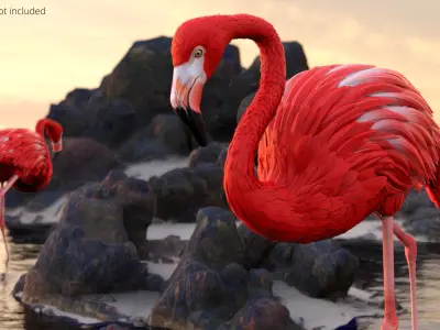  Red Flamingo Tropical Walking Pose 