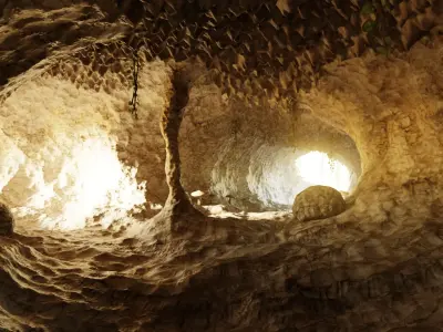 Cave V13 - Complex Cave Environment with Vegetation and Rocks 3D model