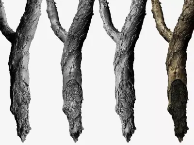 Burnt Tree Trunk 8x4k - 1x16k - 3x16k Textures Raw 3D scan Low-poly 3D model