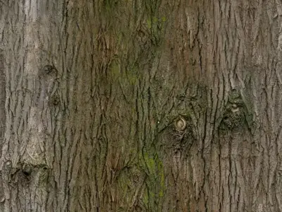 Medieval Torch Free low-poly 3D model