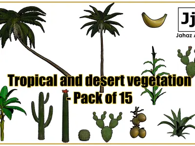 Tropical and desert vegetation - Pack of 15 Low-poly 3D model