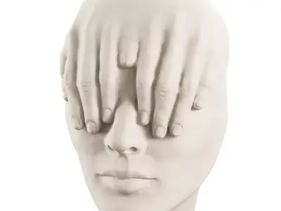 Abstract Face Sculpture by Johnson Tsang 3D model