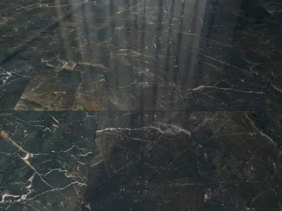 Marble Floor Carelia Black Set 2 Texture